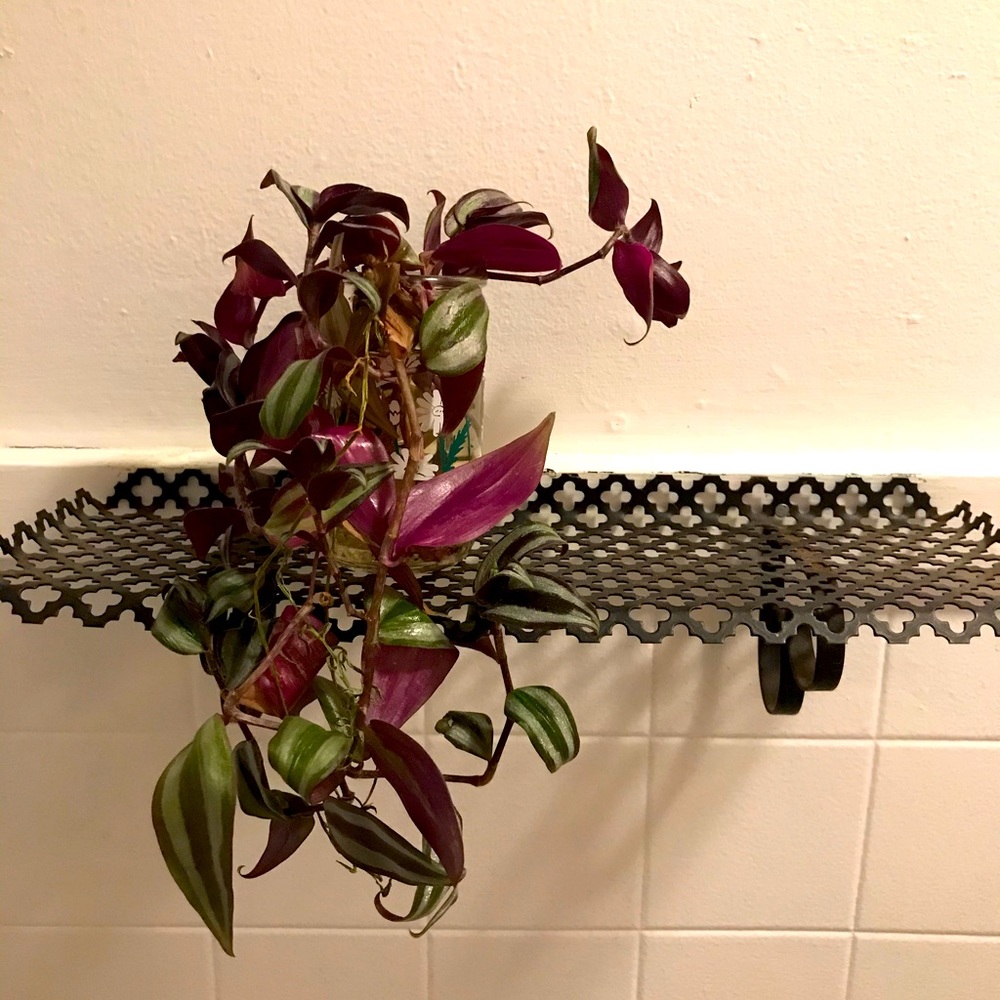Vintage Metal Shelf